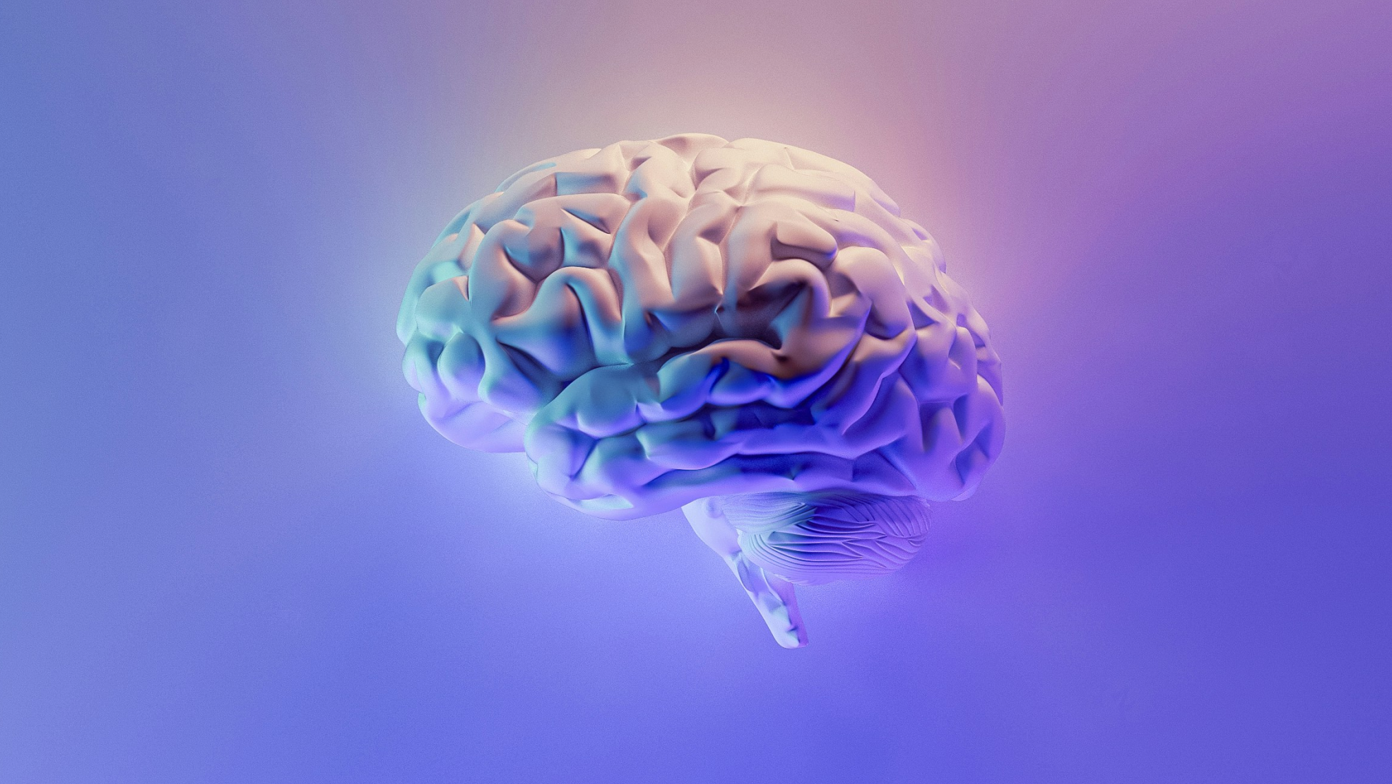 A 3D-rendered human brain model is shown floating against a gradient purple and blue background, illuminated with soft, colorful lighting.